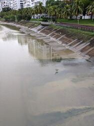 Blk 422 Pasir Ris Drive 6 (Pasir Ris), HDB Executive #468155371